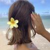 Bunte Gradienten Haarklammer Set Süße Blume Haarklammer Damen Stilvolle Haarspange für Damen und Mädchen Strand Accessoires