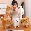 Brown Pomeranian Plush Toy - Standing Dog Photography Prop & Soothing Doll for Kids