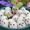 20pcs Halloween Mini Ghost Ornaments Spooky Resin Ghost Wear-Resistance Resin Statue for Garden Flower Pot Yard Patio Decoration
