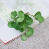 5Pcs Artificial Copper Coin Grass Artificial Plants Fake Green Plant Desktop Plants Bonsai for Home Office Decor