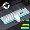 Silent Luminous Keyboard and Mouse Set, Multi-Key Anti-Ghosting with USB for Desktop and Laptop.