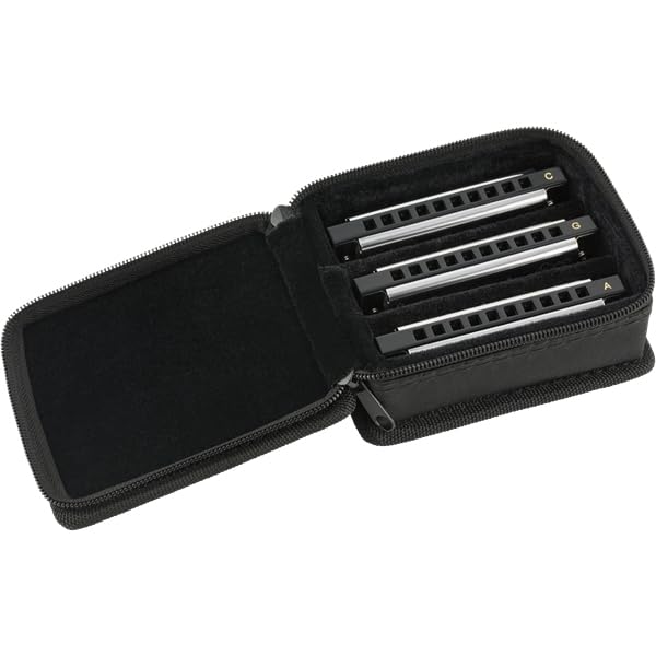 Deluxe Harmonica Pack of 3 with Case of 3 Fender/Blues [Set Harmonicas]