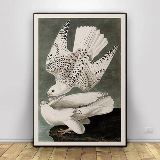 Vintage Bird Prints Retro Animal Art Natural History Canvas Paintings HD Pictures Wall Art For Living Room Home Decor Frameless