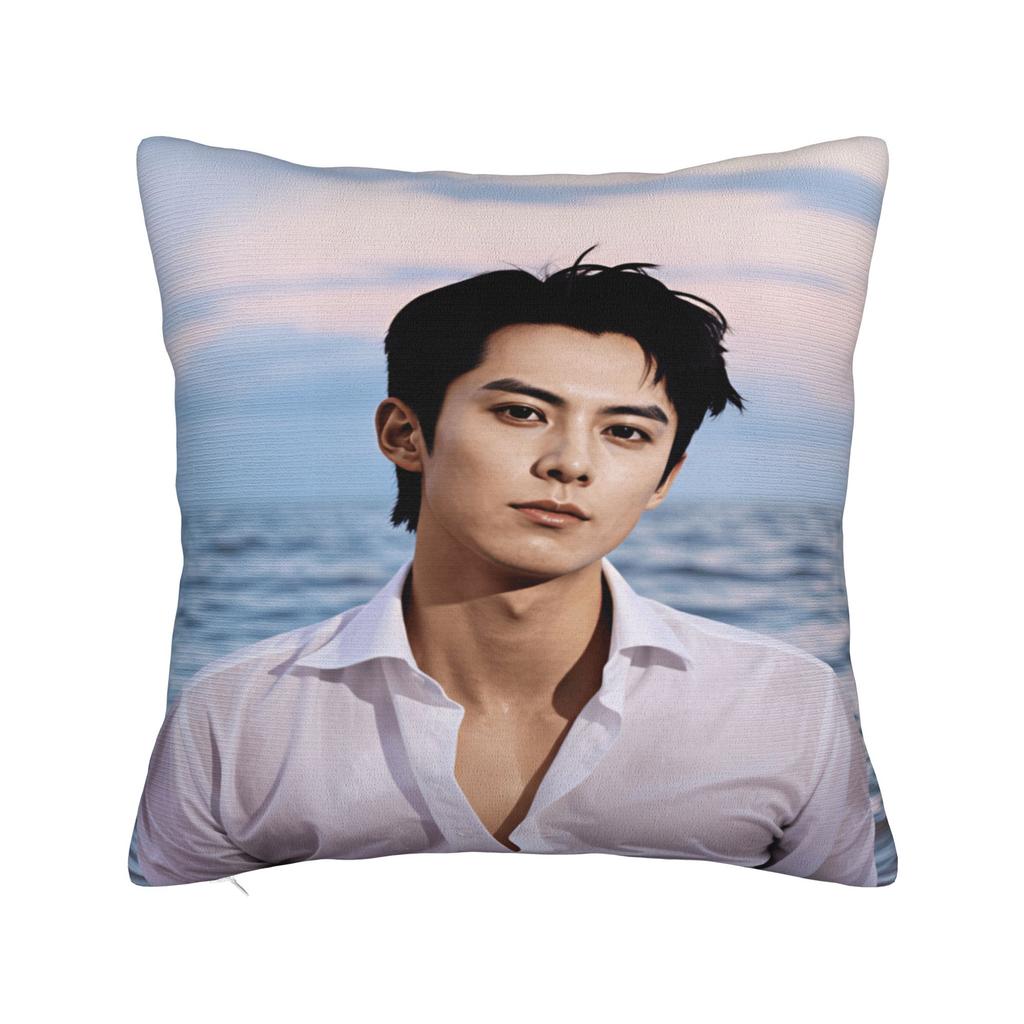 Wang Hedi Dylan Wang Actor Pillow Cover Funny Pillow Case For Wedding Party Home Decor Soft Pillowcases Gift
