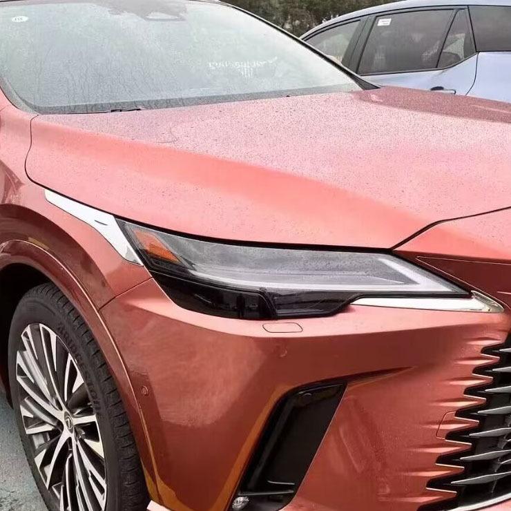 23-24 Lexus RX Exterior Trim: Rearview Mirror Cover, Corner Protectors, Fog Lights, Door Side Strips