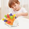 Hedgehog Montessori Toys Baby Concentration Training Early Education Toys Fine Motor and Sensory Toys Spelling Little Hedgehog