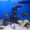 Creativity Roman Easter Island Fish Tank Decoration Furnishing Articles Accessories Aquarium Decor Home Decoration Accessories
