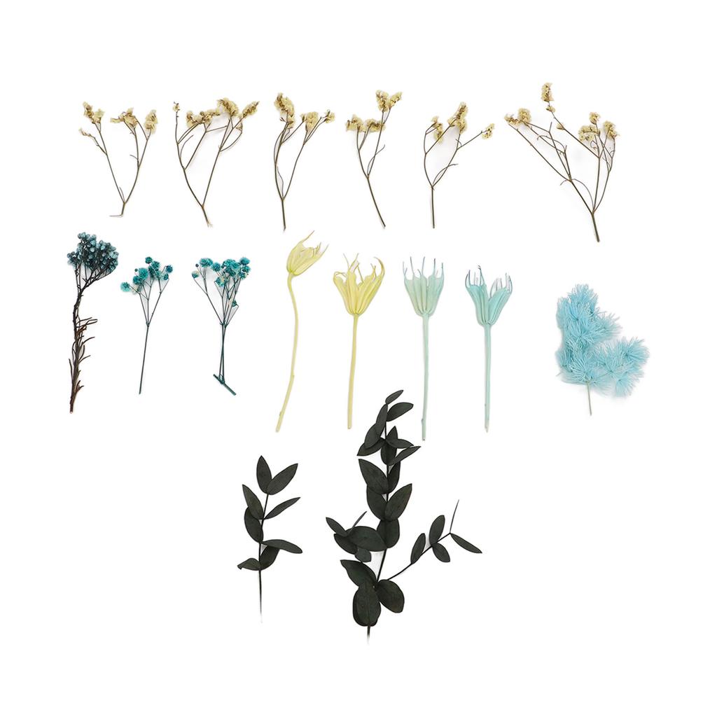 Dried Flowers Natural Odorless Exquisite Bouquet Making Materials DIY Dried Flowers for Tabletop Party Decoration