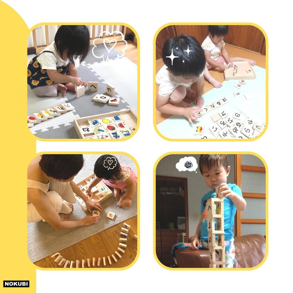 NOKUBI Gujo Hachiman Moji Building Blocks 50 Ages and Made In Japan Toy, Pieces, 1.5 Up, (Educational Toy)