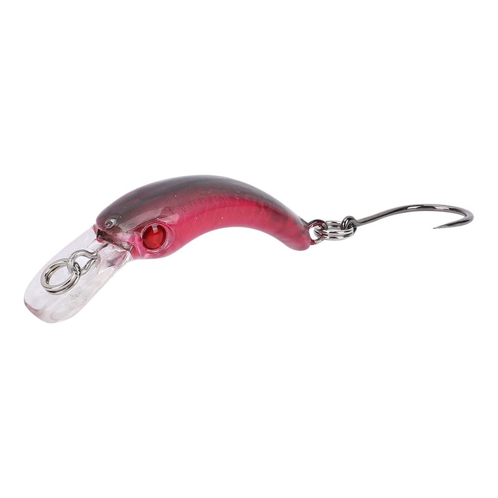 Lifelike Hard Lure Minnow Bait with Hook Fishing Crankbait Wobbler Tackle Accessory (D)