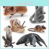 Childrens Pvc Hamster Snail Sugar Glider Animal Model Display For Education And Collection