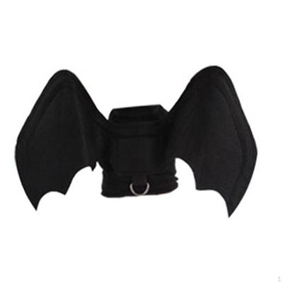 Kutlama ve sahne kıyafetleri