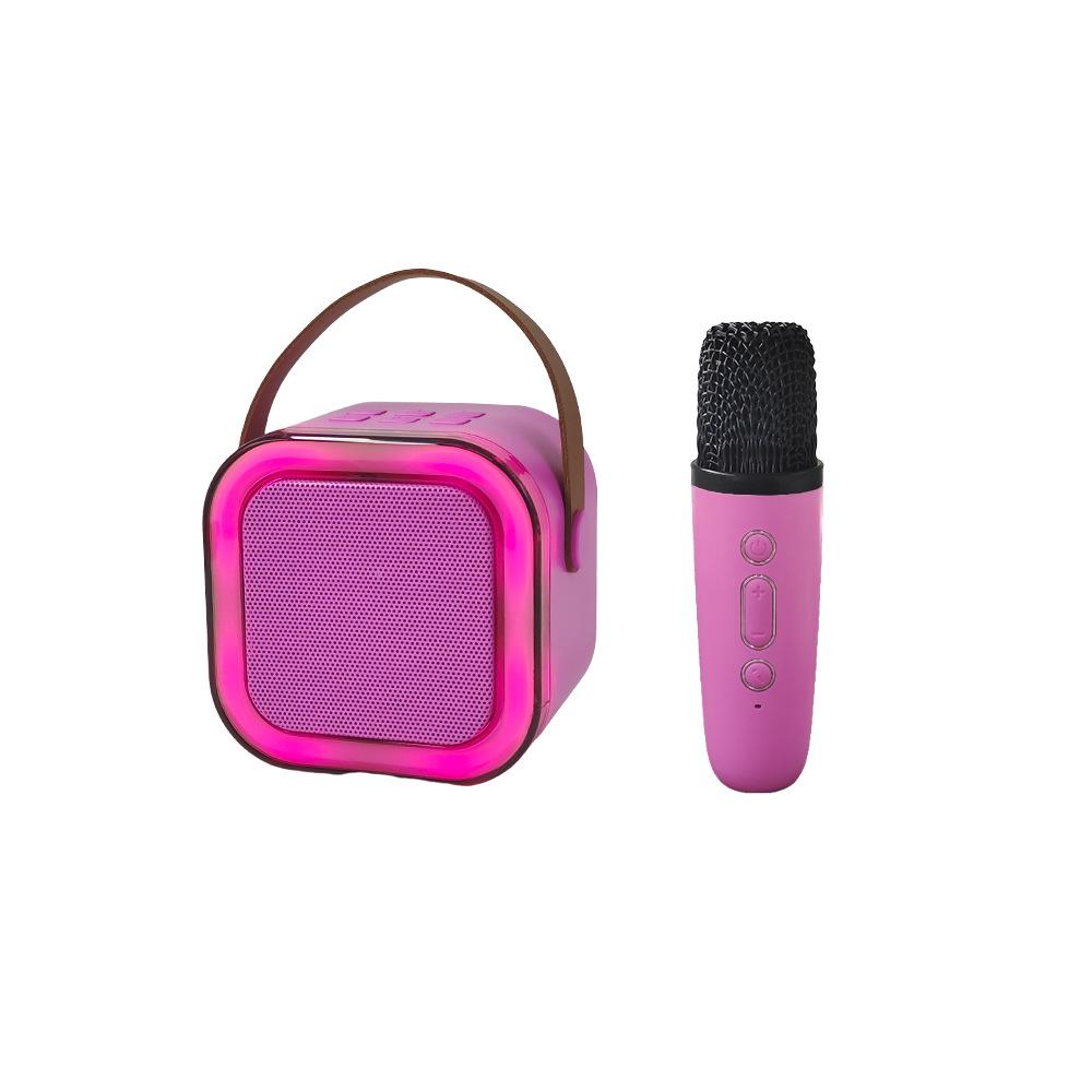 Portable K12 Bluetooth Speaker & Microphone for Outdoor Live Streaming and Home Karaoke
