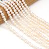 1String, White Natural Potato-shaped Pearls Beads, 7-8mm, for DIY Necklaces Bracelets Accessories, Jewelry Making, Birthday, Wedding, Party Gifts 36cm