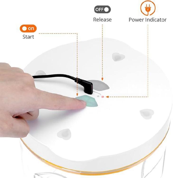Quiet Function Epoxy Vacuum Chamber Perfect For Small Artistic Applications
