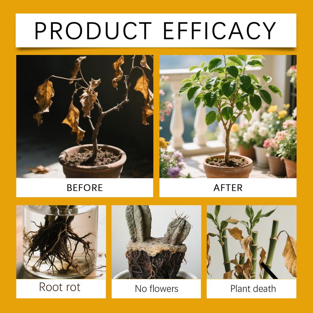 Pflanzenspray Nährlösung, Hausgarten Grünpflanzenpflege, Starke Wurzel und Blatt, Unverdünntes Spray.120ML