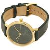 Skagen Women's Watch, SKW2720, Green and Yellow Gold [Parallel Import]