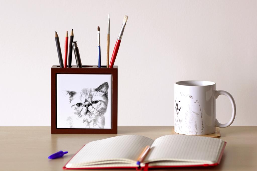 Exotic Shorthair – Pen holder with a cat, desk organizer with a print | Art-Dog