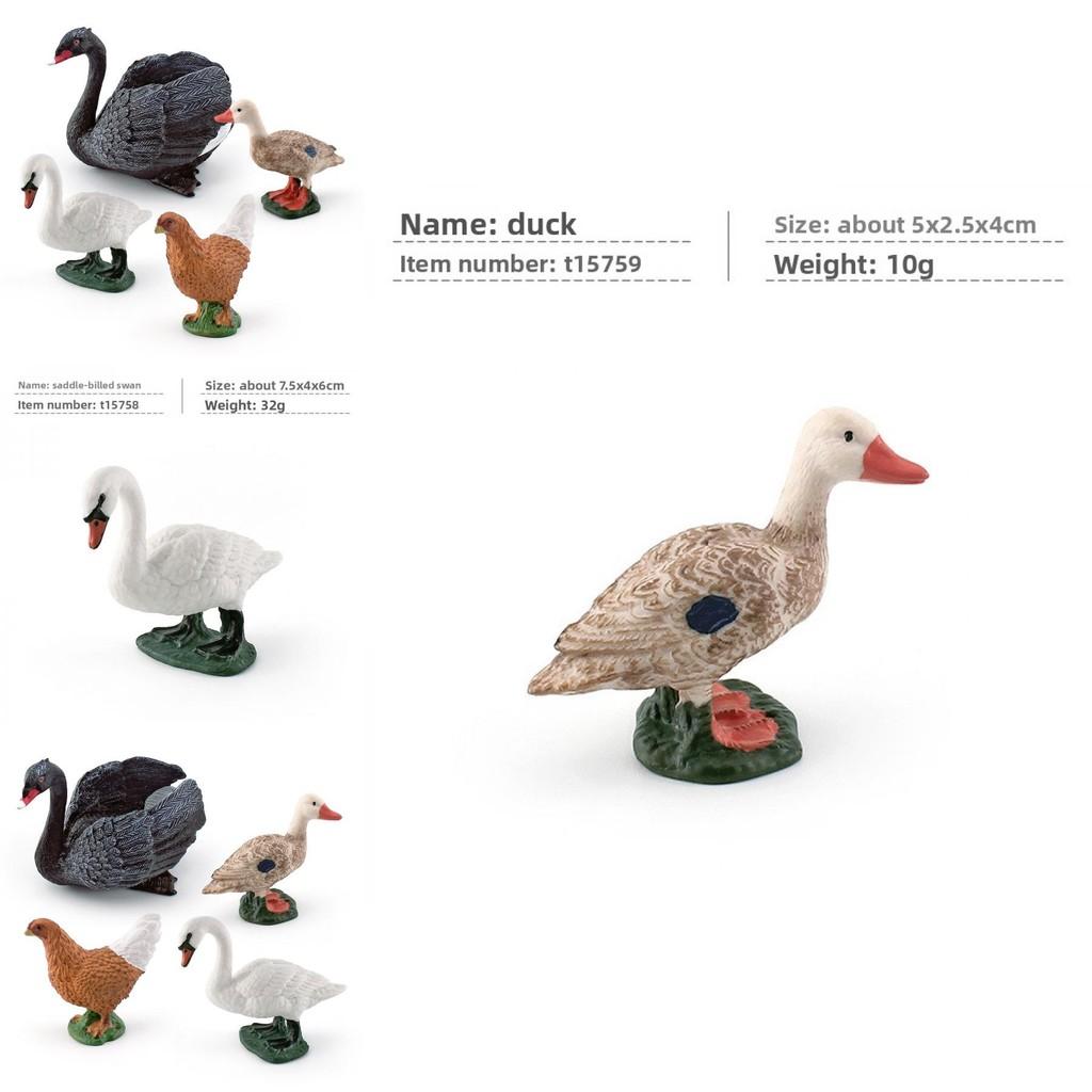 Pvc Farm Animal Decor Set With Realistic Swans Ducks And Chickens For Home Or Office Display