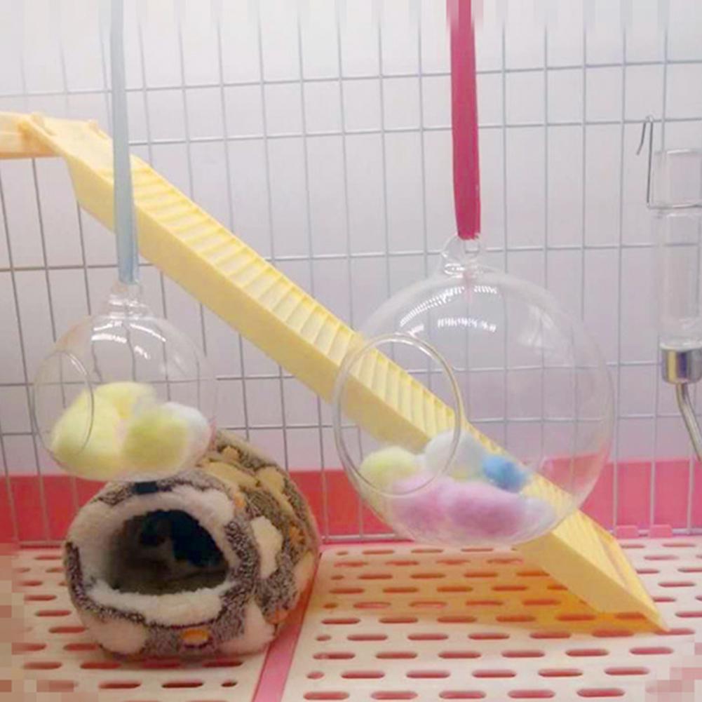 Kleines Glashaus für den Sommer, hängendes Hamsternest, Haustierbox