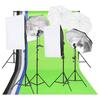 VidaXL Kit d'Éclairage De Studio Photo Équipement De Photographie Lumière Softbox Système De Fond Kit De Toile De Fond Prise 190238