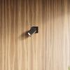 Merida 6L black ceiling lamp
