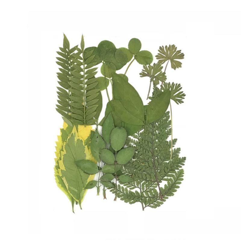 4 Inch 6 Inch Diy Glass Photo Frame Handmade Creative Simple Dried Flower Picture Frame Minimalist