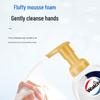 Walch Foaming Antibacterial Hand Wash