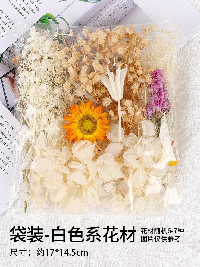 1 Bag DIY Natural Plants Dried Starry Sky Flowers Preserved Materials Kit Epoxy Resin Candles Soap Floral Materials Set Flowers