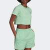 Adidas Originals Regular T Shirt Women's Honor Mint Green H37881