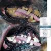 Pet Tooth Powder Makes Children's Teeth Cleaner.