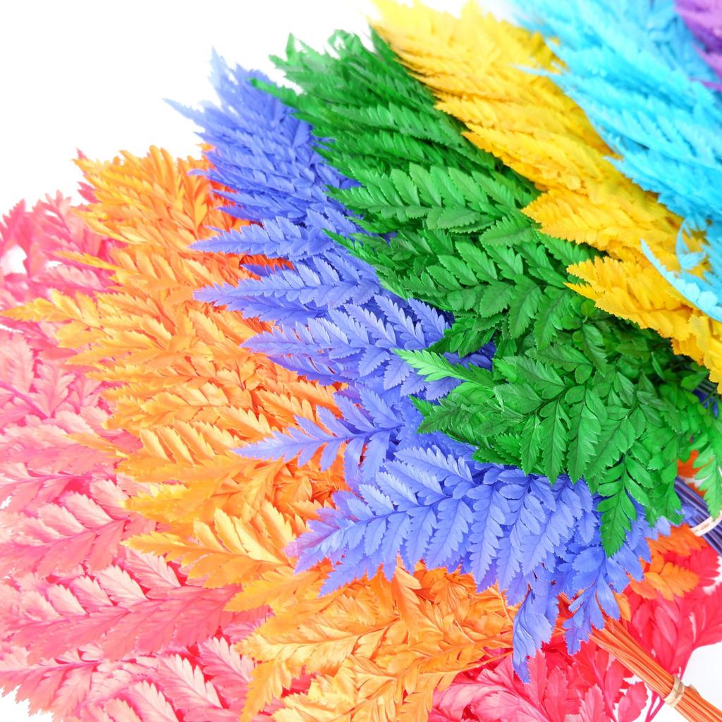 Eternal Alpine Fern Golden Alpine Fern Leaf Immortal Flower Dried Flower Bouquet Wedding Decoration With Grass