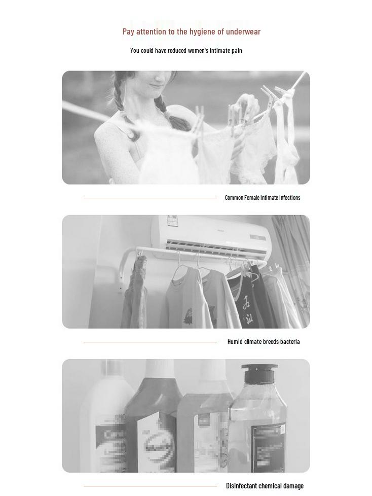 Automatic UV Underwear Dryer & Sterilizer with Free Shipping