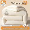 Shixun Winter Warm Cotton Comforter