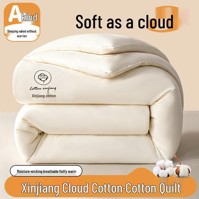 Shixun Winter Warm Cotton Comforter