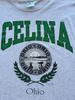 Grey Celina Ohio 90's Vintage Single Stitch Graphic T-Shirt - XXL