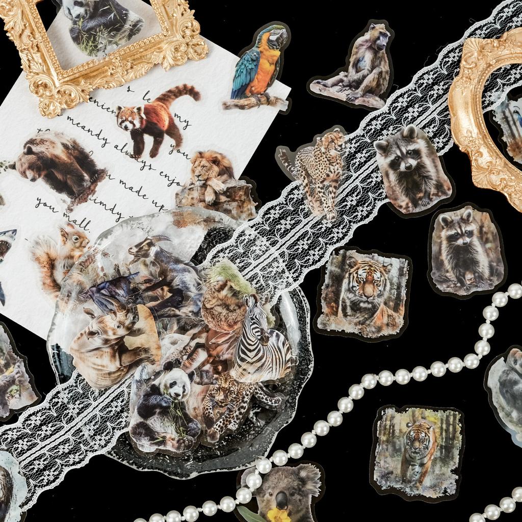 New Product 50 Super Realistic Animal Pictures Transparent Stickers Children's Enlightenment Early Education Stickers DIY Glass Cup Photo Frame