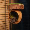 Mini Jumping Spider Shelter Handmade Magnetic Spider Habitat Spider Hide Cave  Tarantula House Cage