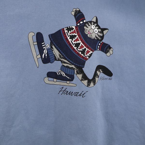 Crazy Shirt 90s Old Long sleeve sweat trainer XL Blue Back brushed Men's Used