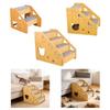 Cat S Dog Ramp Ladder Step with Anti Slip Material Ready to Use for Small Senior Pets Window Sills