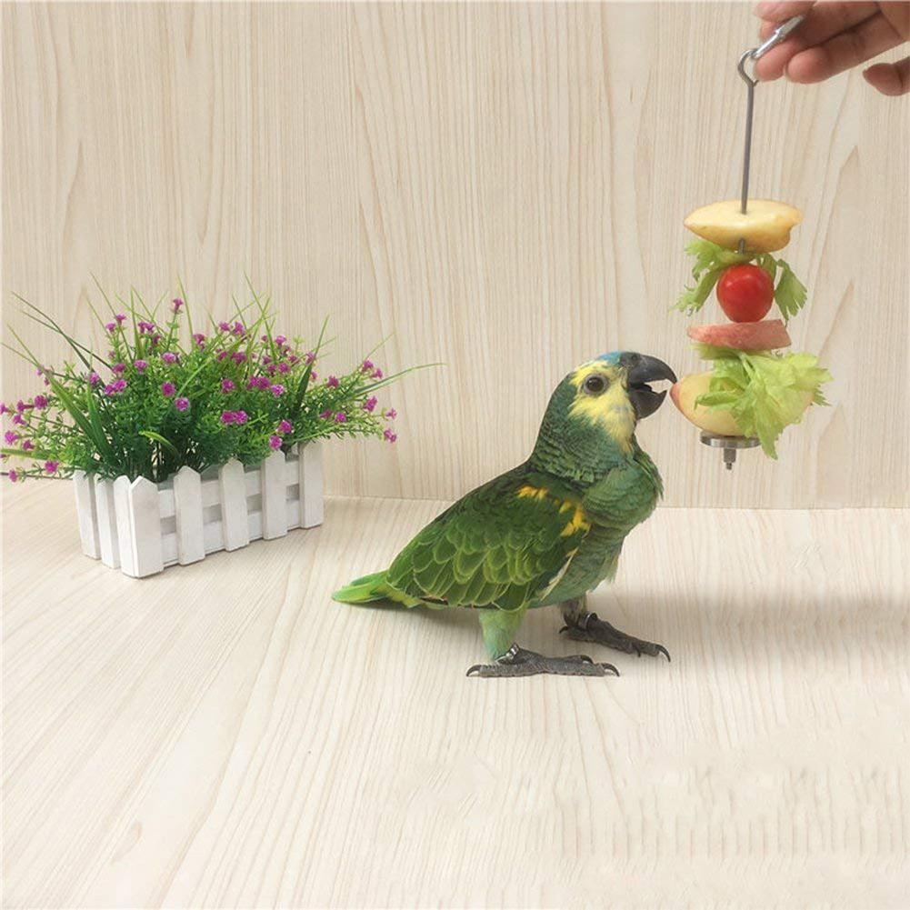 Stainless Steel Small Parrot Toy Meat Kabob Food Holder Stick Fruit Small Animal Skewer Bird Treating Tool