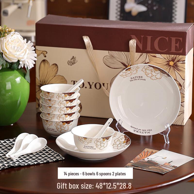OLOEY 14-Piece Ceramic Dinnerware Gift Set