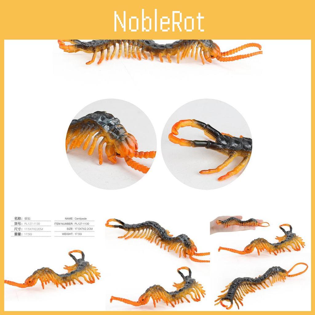 Lifelike Centipede Display Model For Kids Early Education And Home Decoration
