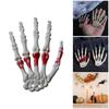 Halloween Skeleton Hands Realistic Life Size Severed Human Hand Bone Plastic Skeleton Hands Halloween Decorations Props