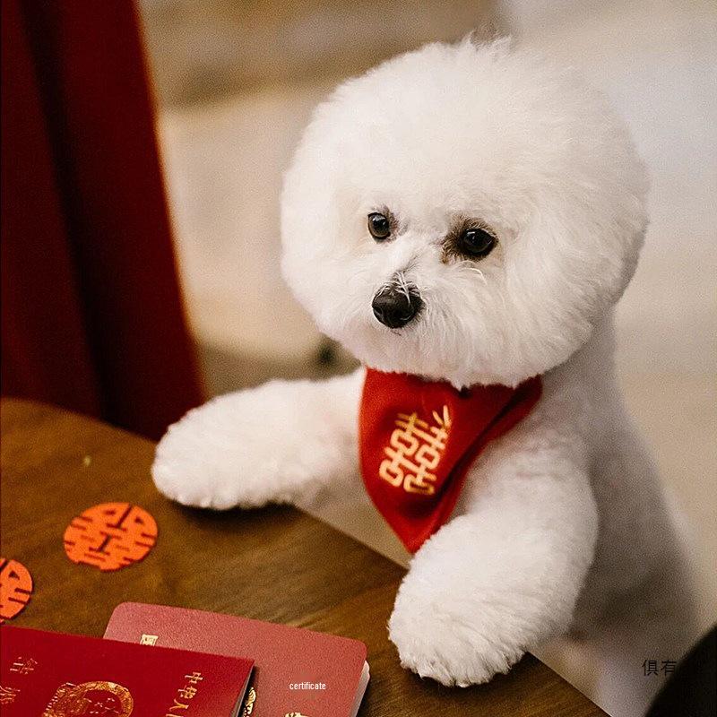 Pet Wedding Bow Tie Bib - Xi Character Red Dog & Cat Decoration S-Small