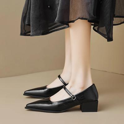Mary Jane Schuhe Weiblich 2025 Neue High Heels Flacher Mund Snap Ballettschuhe Retro Spitzschuh Niedrigen Absatz Damen Einzelschuhe 34-42