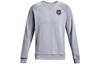 Sweatshirts Men's Gray Crew Neck Moderate Regular 1373837-035