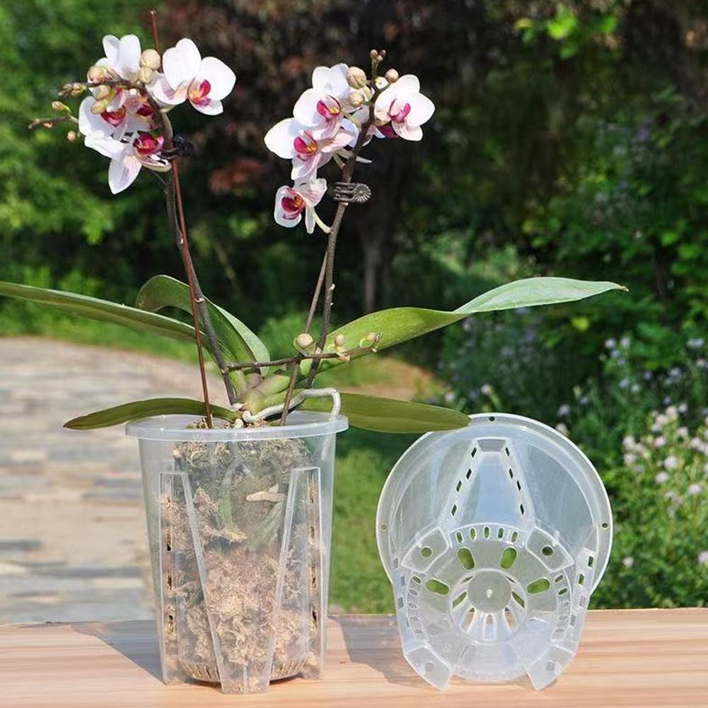 Transparent Nursery Potsplant with Tray Seed Starting Pot Flower Plant Contain Planters Root Control Orchid Transparent Pot