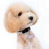 Rhinestone Pet Collar Pendant: Heart & Bone Shape Photo Frame, Anti-lost Info Tag, DIY for Cats & Dogs