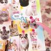 Cute Cat & Dog Paper Stickers Book Art 20 Sheets Laptop Decal DIY Cartoon Phone Graffiti Sticker For Journal Scrapbook